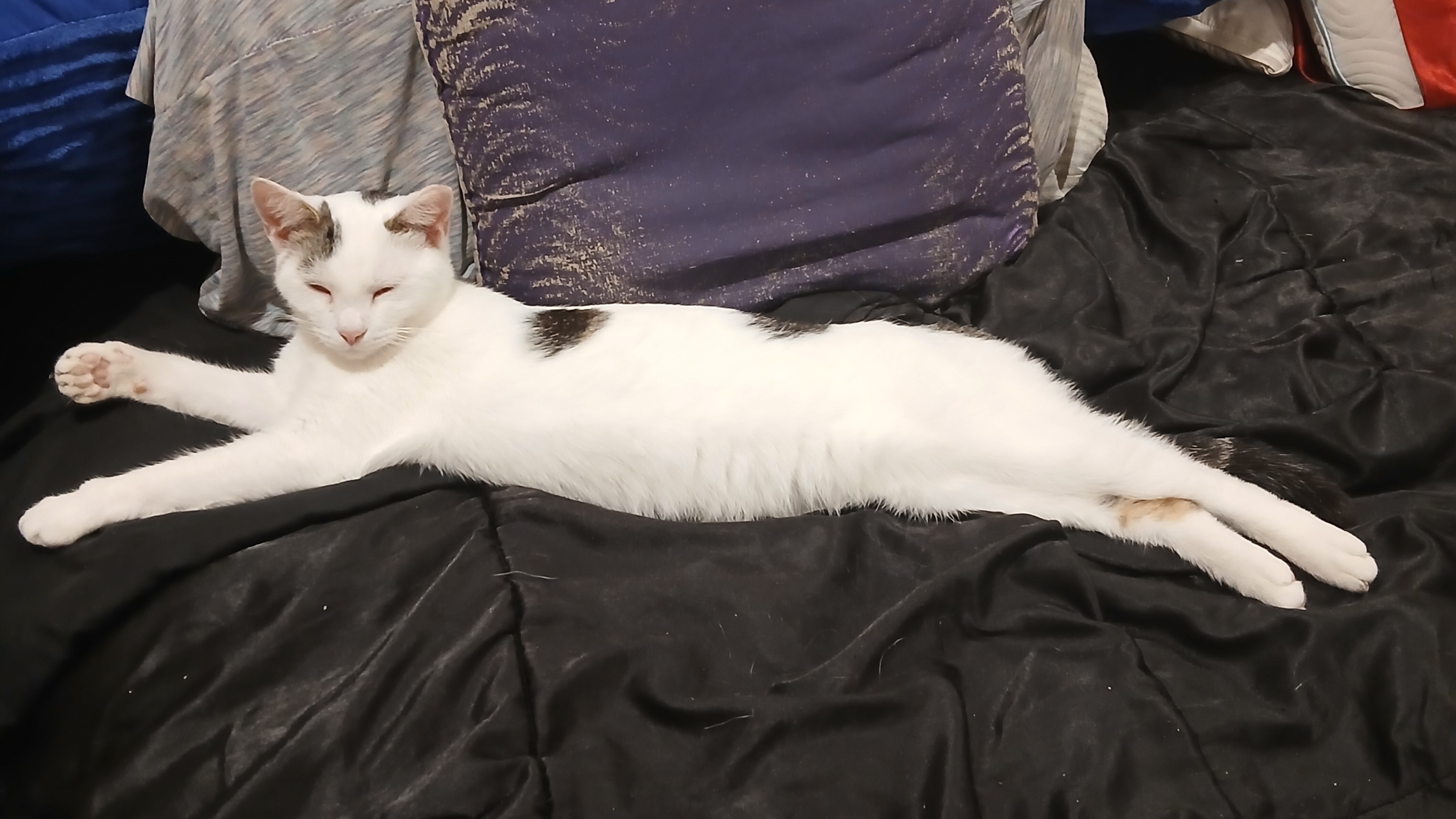The *long* way