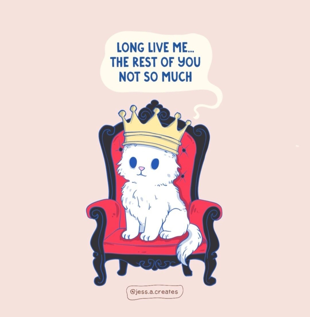 Classic cat