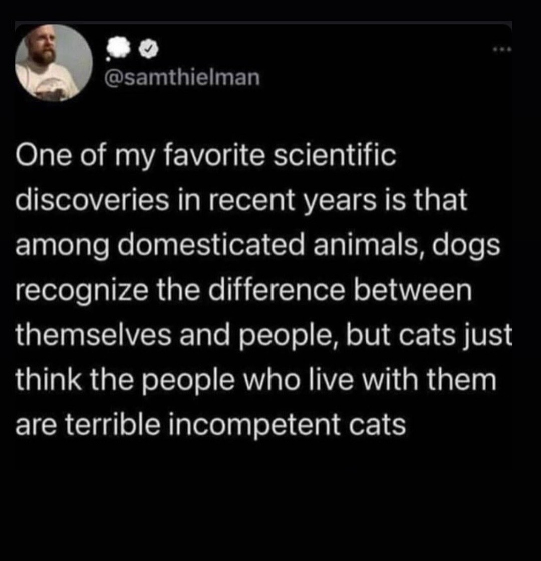 Well I kinda am