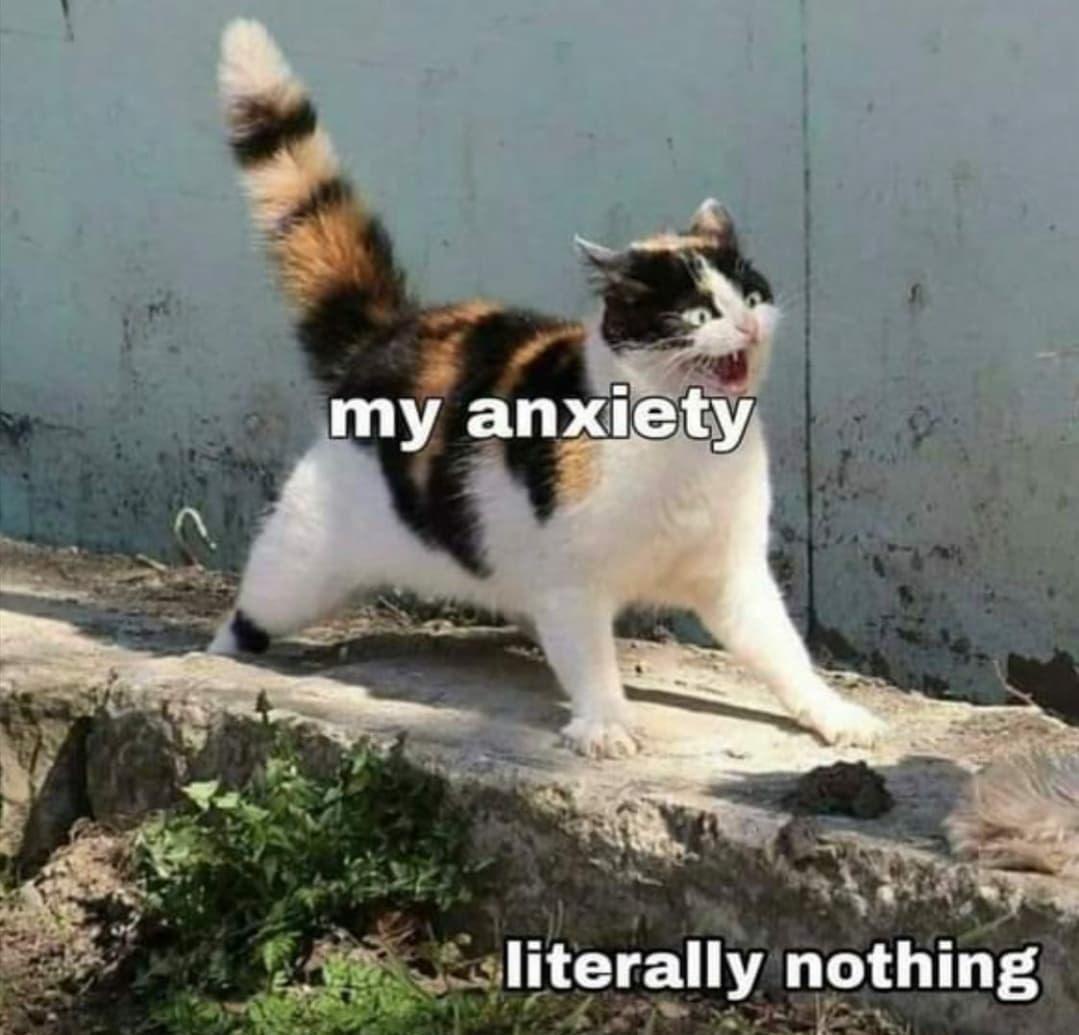 a kitty is super spicy and is angy. kitty labeled my  anxiety.  background label Nothing